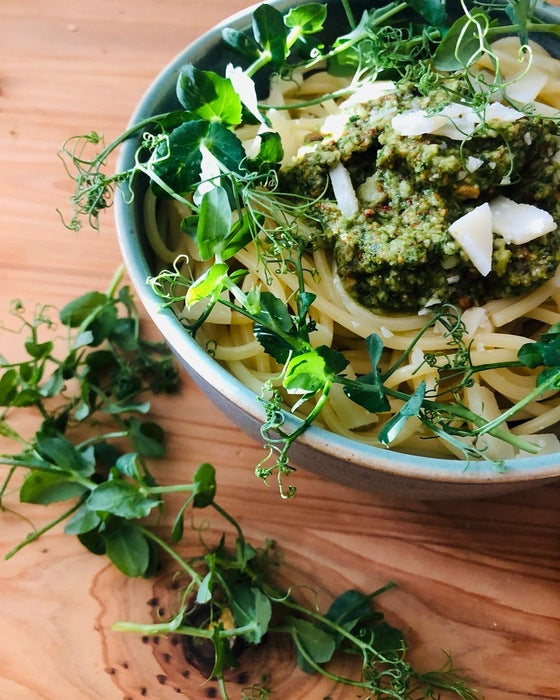 Erbsen Microgreens als Pesto und als Topping