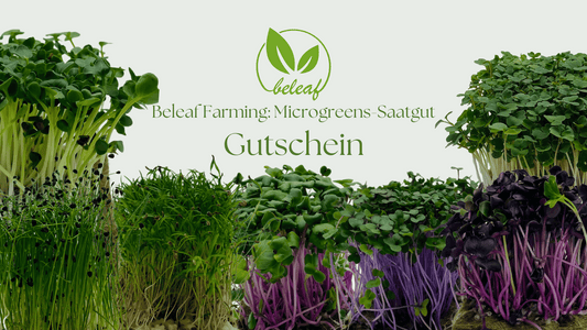 Microgreens-Saatgut Gutschein